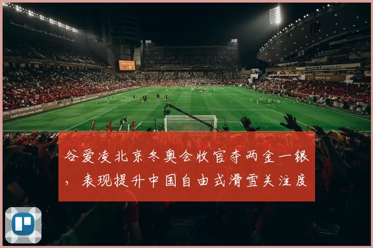 谷爱凌北京冬奥会收官夺两金一银,表现提升中国自由式滑雪关注度